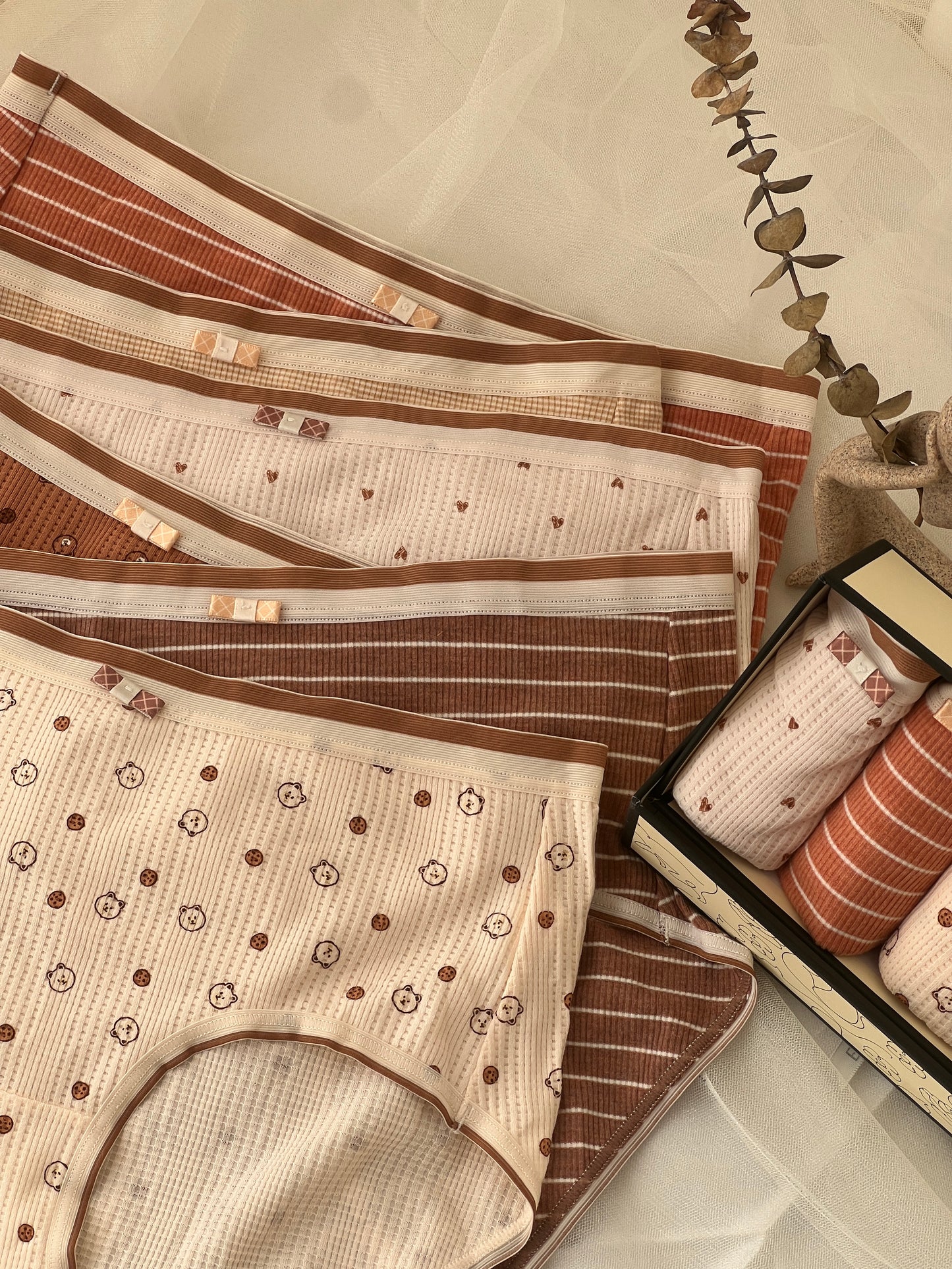 Mini Bears Panties